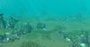 Underwater II.jpg