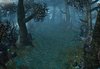 Darkwood-.jpg