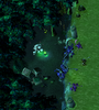 VeilSwamp-Screenshot6.png