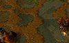 grass-2.jpg grass-2.jpg