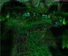 SpiderCave_2.JPG