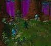 ashencont2.jpg