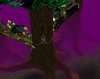 ashencont8.jpg