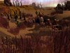 Barrens2.JPG