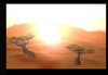 crappy desert.jpg