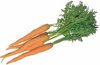 Zanahorias.jpg