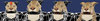 wip-sesion1.jpg