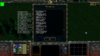 WC3ScrnShot_010720_070616_02.png