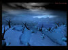 A Desolate Winter ( EDIT ).jpg