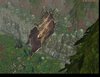 ForestNew.jpg