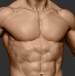 Torso.png