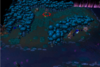 Zangarmarsh Top Left Spawn.png Zangarmarsh Top Left Spawn.png