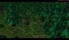 screenforest1.jpg