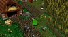 Farm.jpg