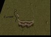 CliffTut2Curved.jpg CliffTut2Curved.jpg