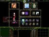 WC3ScrnShot_010309_015558_16.jpg