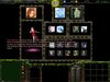 WC3ScrnShot_010309_015601_17.jpg