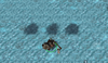 Classic.png Classic.png