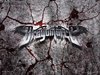 DragonForce_10.jpg