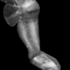 icon.png