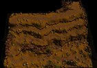 Barrens mountains Overview.JPG