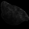 shoulderpad3.jpg shoulderpad3.jpg