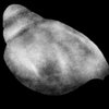 shoulderpad4.jpg shoulderpad4.jpg
