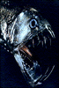 viperfishgif.gif