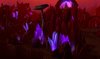 Outland Ecodomes.jpg
