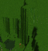 Max2.png