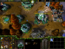 WC3ScrnShot_110621_225924_16.png