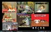 desktopz.jpg