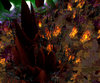 Screenshot 3.jpg