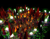 Screenshot 7.jpg