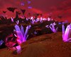 Orcs outland.jpg