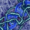 Icy DNA with dark lightning outlined.jpg