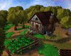 New Camp 4.JPG