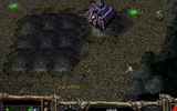 naver.png
