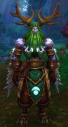 683059-malfurion-stormrage.jpg