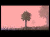 TDC 3 - Southern Pine Shores.jpg