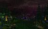 Dark Forest.JPG