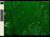 swamp-1.jpg
