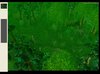 swamp-3.jpg