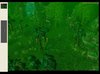 swamp-4.jpg