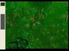 swamp-5.jpg