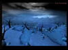 A Desolate Winter ( showcase ).png