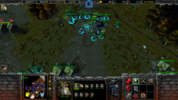WC3ScrnShot_111223_124325_02.png