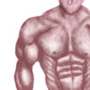 body anatomy 1.jpg