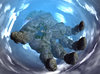 WC3ScrnShot_062109_235804_02.jpg