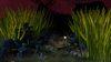 Terraining Contest 7 Small World H-Bomber 3 (Rabbits) .jpg